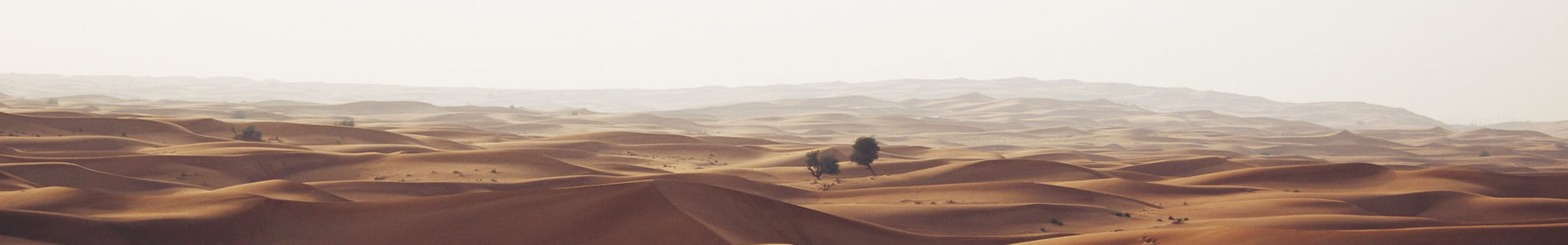 ظװ޹˾